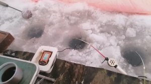 РЫБАЛКА НА КАРАСЯ. ОЗЕРО АТЯЖ. 04.01.2026