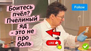 Артроз? Поставь пчелу. Как одна пчела запускает капилляры мозга и лечит суставы