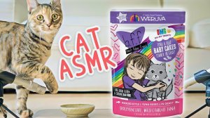 АСМР по кошачьи. Кошки едят влажный корм. Залипательное