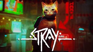 как выглядят вещи ребëнка который до смерти обожает игру Stray.