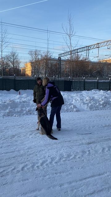 ВЕО Валентлайф Шерритэ (17мес), ЗКС, КЦ Сокольники №2 дополнительные занятия №2