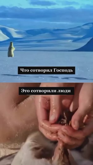 ЧТО СОТВОРИЛ ГОСПОДЬ, А ЧТО — ЛЮДИ