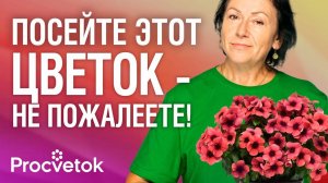 ЦВЕТЕТ КРУГЛЫЙ ГОД! Как вырастить из семян катарантус?