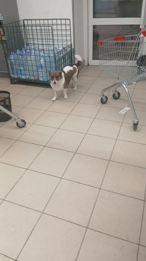 1000010984.mp402.03.2026г.