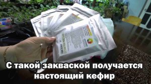 Обзор покупок с маркетплейсов: мочалка, кефирная закваска, одноразовые тарелки, микориза в гранулах
