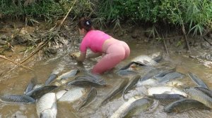 Интересная рыбалка в дикой природе. Откачиваю воду из пруда. Вьетнам