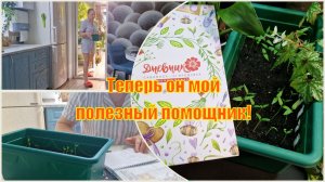 Первые всходы перца, свои против купленных. Обзор на журнал садовода огородника.