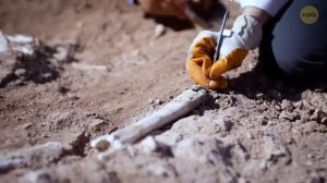 немного о науке