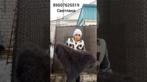 2.02.31 Пуховые платки, шарфы ,косынки ,плед