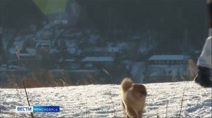 Вести. Красноярск от 02.03.2026