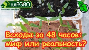Вот почему они НЕ ВСХОДЯТ! 🌶️ 4 фатальные ошибки при посеве семян и как их исправить. 🍅