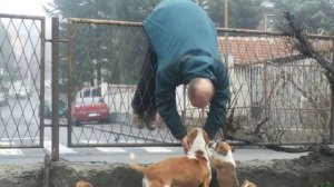 Юмор Приколы Смешные животные #183