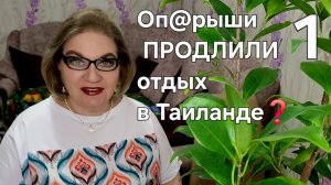 1 часть. Оп@рыши ПРОДЛИЛИ отдых в Таиланде❓️❗️