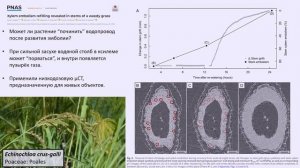 Plant science 2025: год обмана, жары и ботанической инженерии: Константин Фомичев