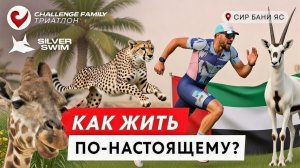 Абу Даби Sir Bani Yas триатлон Челленж как правильно отдыхать?