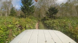 Ищу металл и самолёт ✈️