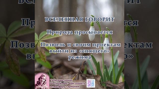Послание на неделю 02.03.2026-08.03.2026