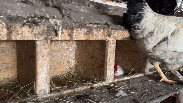 Саня Новиков/Пришла посылка 📦  Весна началась.