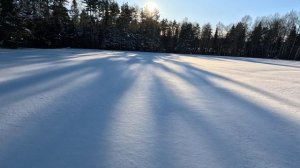 Дачные покатушки на снегоходе зима 2026 (6)