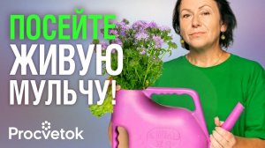 РАЗБРОСАЙТЕ СЕМЕНА ЭТИХ ДВУХ РАСТЕНИЙ и мульчирование грядок не понадобится!