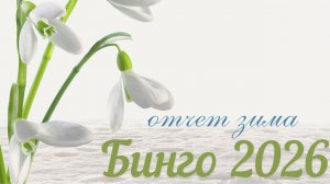 бинго26отчет#1