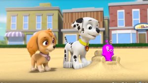 Щенячий патруль. Маршалл. Мэр Гудвэй. Щенки выезжают. Трек джунглевый спасатель. Скай Ч19