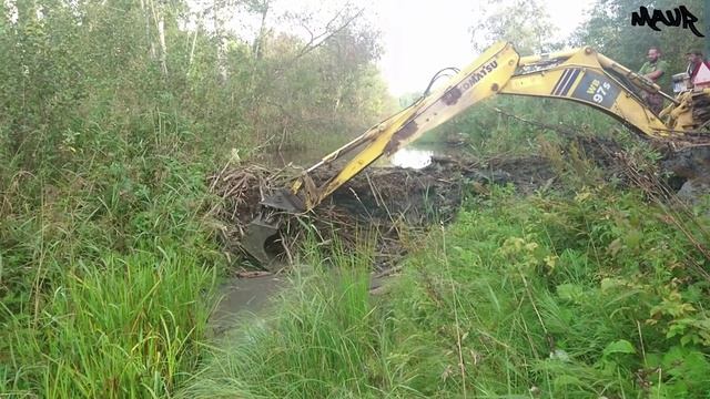 демонтаж бобровой плотины