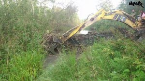 демонтаж бобровой плотины