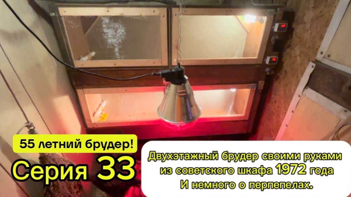 Серия 33 . Брудер из советского шкафа, котрому 55 лет  для цыплят и перепелов