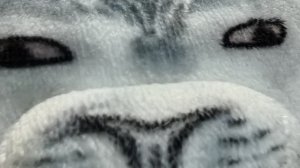 почтальон Печкин в погоне за рыбкой