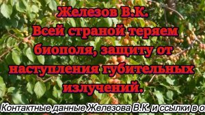 Железов В.К. Всей страной теряем биополя, защиту от наступления губительных излучений.
