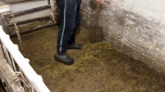 Саня Новиков/Она у нас не надолго. Отсадили самок.