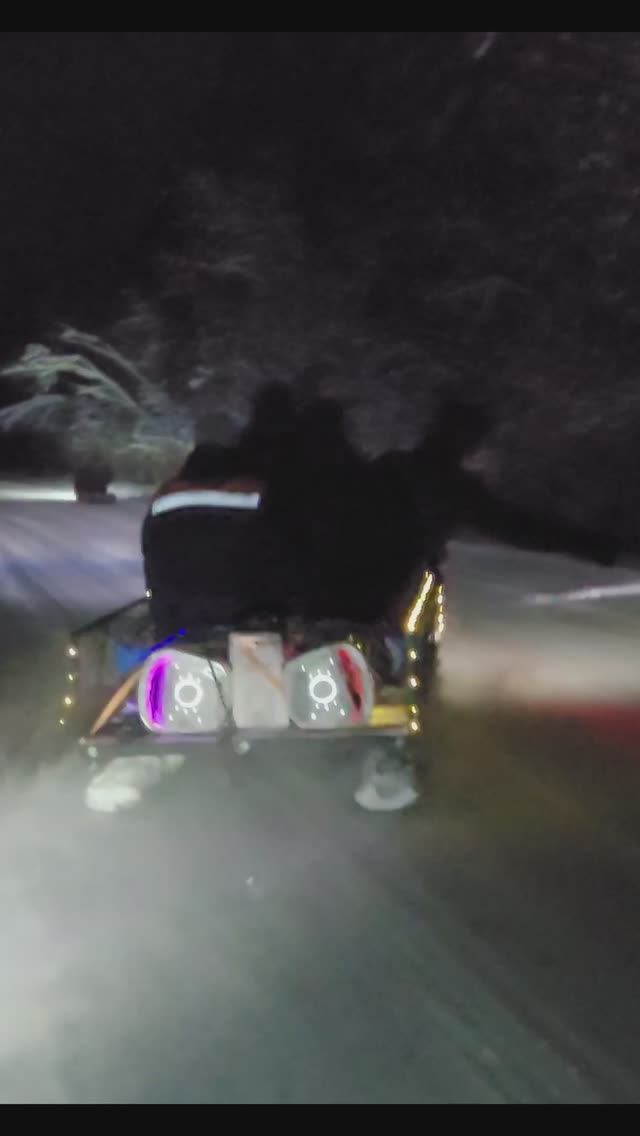 Едем в соседнее село #shordoga #snowmobile #stels
