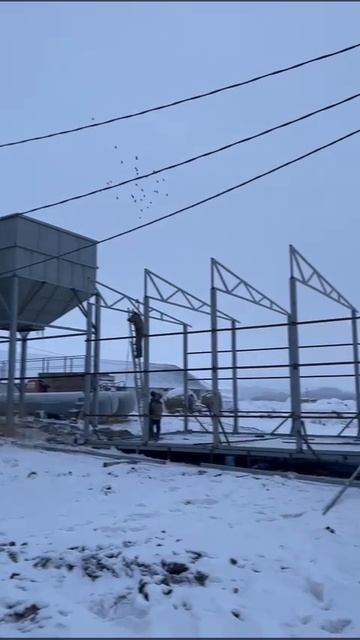 Продаю готовый бизнес, Агро предприятие в Алтайском крае+79039495791, звоните