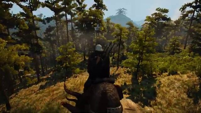 Geralt Travels On Horseback Through Velen - The Witcher 3 - Music & Ambience