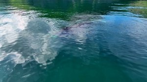 лучшие моменты путешествия на каяке по охотскому морю (1-5 день)