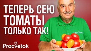 ЖАЛЕЮ, ЧТО РАНЬШЕ НЕ СЕЯЛ ТАК ТОМАТЫ! Растут крепкими, коренастыми и фитофтора им не страшна