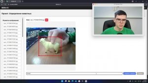 Обучение нейросети для распознавания животных