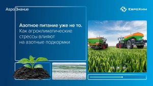 Азотное питание уже не то. Как агроклиматические стрессы влияют на азотные подкормки