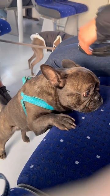 Будь настойчив! Не отступай от своих желаний!