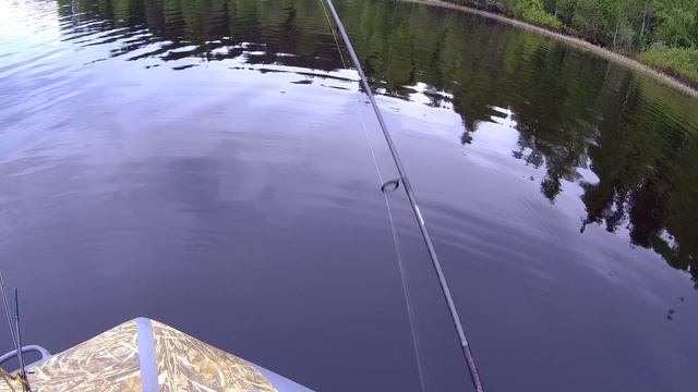 Андозеро  Озеро Щука