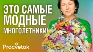 ВСЕ ГОНЯЮТСЯ ЗА ЭТИМИ МНОГОЛЕТНИКАМИ В 2025 ГОДУ! Красивые и неприхотливые многолетние цветы