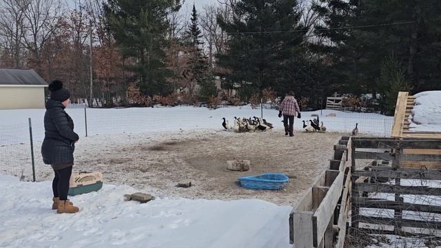 СЕЛЬЧАНКА В АМЕРИКЕ.