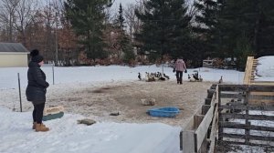 СЕЛЬЧАНКА В АМЕРИКЕ.