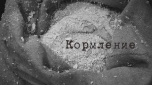 Лекция №4 Кормление