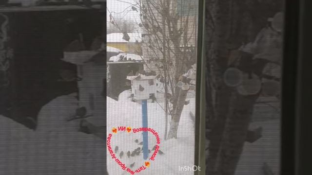 Возвращение домой. Татьяна Ярош-Агапитова.