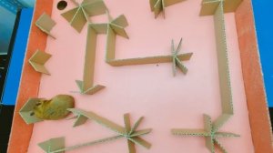 Приключенческий радужный лабиринт 5-го уровня в игре Hamster Stories