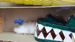 🐊Лабиринт с крокодилами и ловушками. ПРЕПЯТСТВИЯ. Зомби в «Истории хомяка»