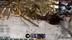 Вышел ноги размять, размяли все тело.