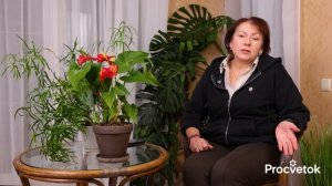 ПЕТУНИЯ ОТДЫХАЕТ! Самые эффектные и некапризные цветы для кашпо